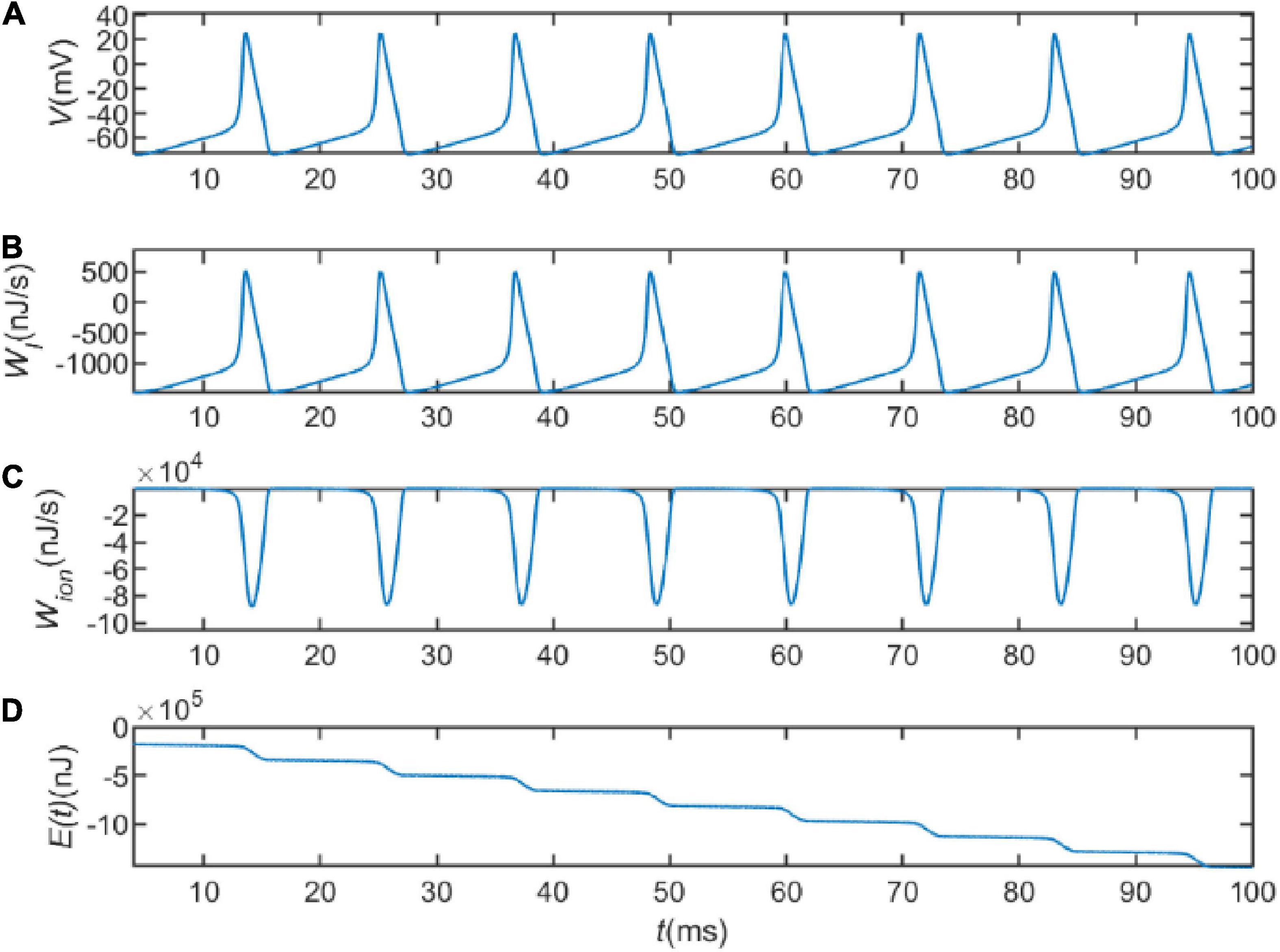 Energy efficiency and coding of neural network